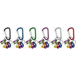 Μπρελόκ Albainox Carabiner Keychain Set 16249