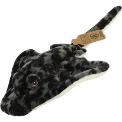 Aurora Eco Nation Stingray Black