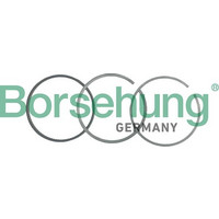Borsehung B19042