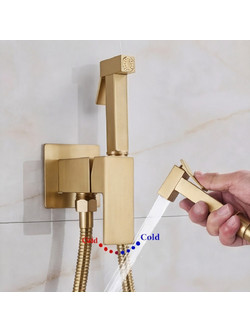 NARON Σετ Μπιντέ Εντοιχισμού με Ντουζάκι shut-off NR5530 BRUSHED GOLD