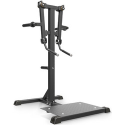 Impulse Standing Lateral Raise IFP1103