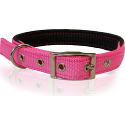 Pet Interest Neoprene Standard Fluo Κολάρο Σκύλου Ροζ 2.5x65cm