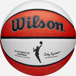 Wilson NBA Authentic WTB5100XB