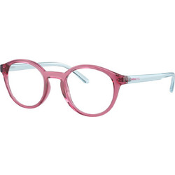 Arnette AN7242 2907 Γυναικείος Σκελετός Γυαλιών Οράσεως Κοκάλινος Μπλε Μωβ