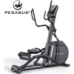 Pegasus E17