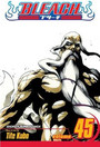 Bleach, Vol. 45 Bleach, Vol. 45