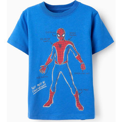 Zippy Spider-Man Παιδικό T-Shirt Κοντομάνικο Κίτρινο Royal Blue 31070474003