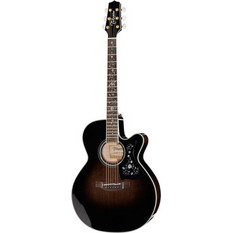 Takamine EF450C-TT TBB with Case