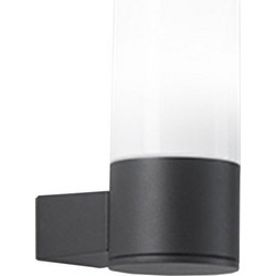 Perenz Illumina Match 6784A