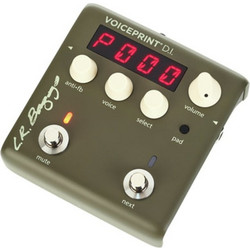 L.R.Baggs Voiceprint DI