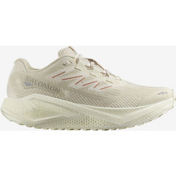 Salomon Aero Blaze 3 Γυναικεία Αθλητικά Παπούτσια για Τρέξιμο Μπεζ L47915100