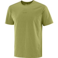 Salomon Ανδρικό Αθλητικό T-Shirt Πράσινο LC27906