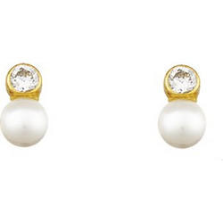 Million Diamonds Γυναικεία Σκουλαρίκια Καρφωτά από Xρυσό 14K με Ζιργκόν SK12038