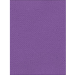 Favini Χαρτόνι Κανσόν Μωβ 50x70cm 831.5070.19T