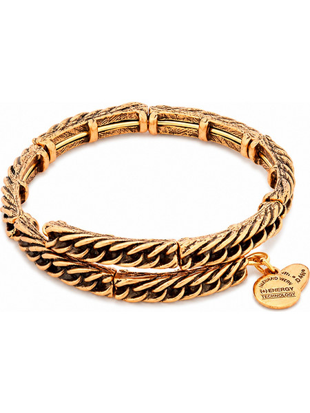 Alex and Ani Γυναικείο Βραχιόλι Βέργα Xρυσό V16W47RG