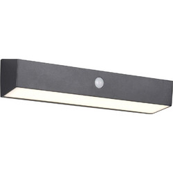 RL Lighting Silves R23306102