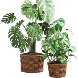 vidaXL Σετ Κασπώ Καλάθια Rattan Καφέ 2τμχ