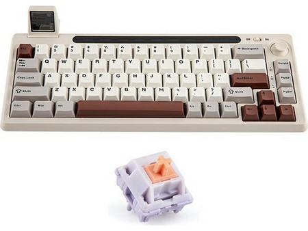 Epomaker RT65 Ασύρματο Μηχανικό Gaming Πληκτρολόγιο TenKeyLess με Wisteria Διακόπτες RGB Grey White