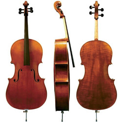 Gewa Maestro 6