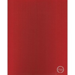 ΚΛΑΣΕΡ SHAPE PP ΧΡΩΜΑΤΙΣΤΑ 25X32 2 ΚΡΙΚΟΙ 6500shape