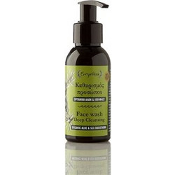 Evergetikon Aloe & Sea Buckthorn Face Wash Ενυδατική Κρέμα Καθαρισμού Προσώπου 40ml