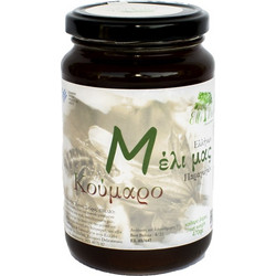 Μέλι Κούμαρο 470gr, ElliDeli_Ελληνικά Delicatessen