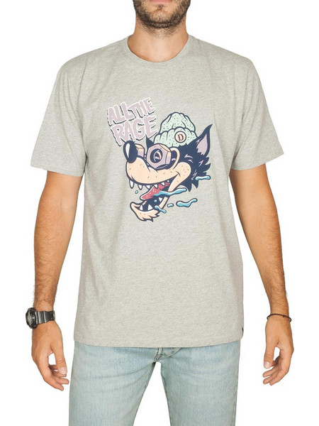Dickies Reidsville T-shirt grey melange dk0a4tnp-gym