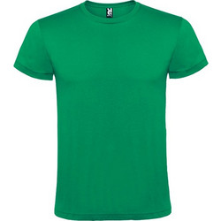 Roly Atomic 150 Ανδρικό Αθλητικό T-Shirt Κυπαρισσί CA6424-20