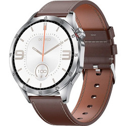 Max GT4 Brown / Silver