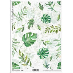 Ριζόχαρτο Green leaves 21x29εκ. (ITD-R1417)