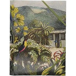 Φάκελος με λάστιχο A4 Kiub bnf oiseau πολύχρωμο (PPCHEL44R01)