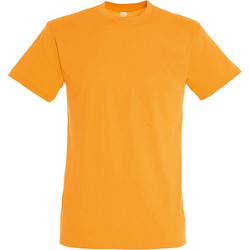 Tshirt Unisex Κοντομάνικο - Regent - 11380