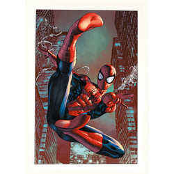Αφίσα Spider-Man (Web Sling) 61x91,5εκ Κορνίζα Ξύλινη Σε 10 Χρώματα Με Ακρυλικό Τζάμι Άθραυστο K1041+PP3401001