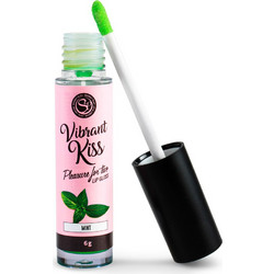 Secret Play Vibrant Kiss Mint Lip Gloss 6gr