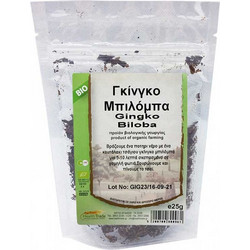 Health Trade Ginkgo Biloba 25gr