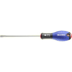 EXPERT E165016 Κατσαβίδι για Βίδες Εγκοπής (Ίσιες) 4.0 Χ 100 Χ 0.8