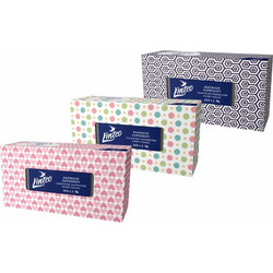 Linteo Paper Tissues Two-ply Paper, 200 pcs per box χαρτομάντηλα 200 τμχ
