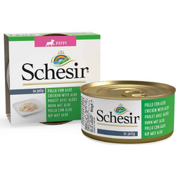 Schesir Puppy Jelly Chicken with Aloe 150gr