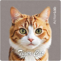 Action Lab Μαγνητάκι Magnet Tiger Cat Red