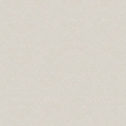 silk road 4007-1