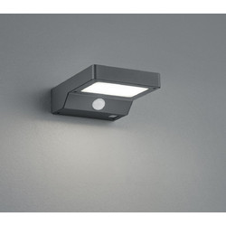 Trio Lighting Fomosa R22281142