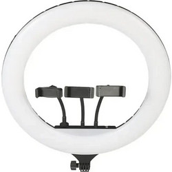 Ring Light 56cm 22'' 3200K-6000K και Βάση για Κινητό
