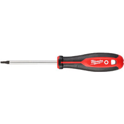 ΚΑΤΣΑΒΙΔΙ TORX T20X100 MW