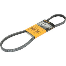 CONTINENTAL 4PK922 ELAST - CONTITECH ΙΜΑΝΤΑΣ POLY-V FORD