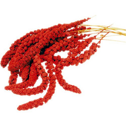 Vadigran French Red Millet Sprays Κλαδιά Μίλετ Κόκκινα 25kg Χύμα