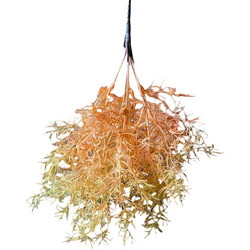Supergreens Τεχνητό Χωνευτό Αγριόχορτο Salsosa Soda Ivory Grass Εκρού 38 εκ. 5712-7