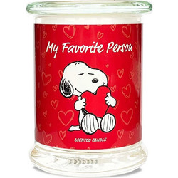 Peanuts Snoopy and Woodstock Αρωματικό Κερί My Favorite Person σε Βάζο 250gr A2161