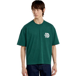 DICKIES MINDEN SS TEE DK0A8DTCB42-B42 Πράσινο