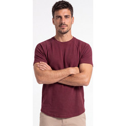 T-SHIRT RAYVEN - ΜΠΟΡΝΤΟ