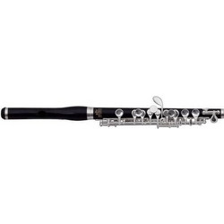 GEWA Πίκολο Roy Benson PC-602 RB700.430